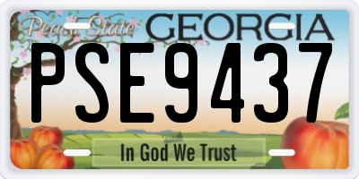 GA license plate PSE9437