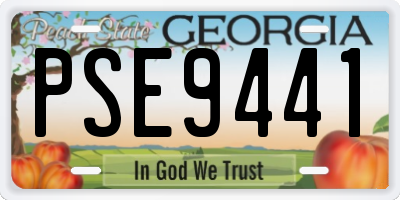 GA license plate PSE9441