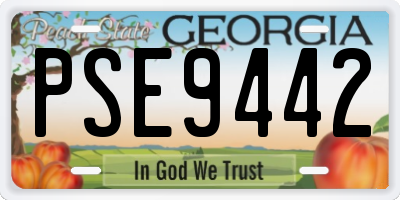 GA license plate PSE9442
