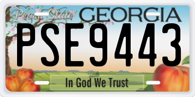 GA license plate PSE9443
