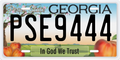 GA license plate PSE9444