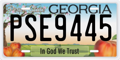 GA license plate PSE9445