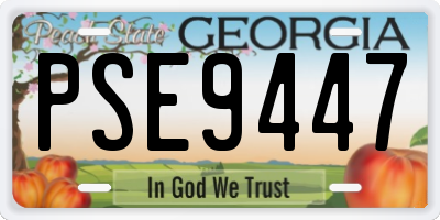 GA license plate PSE9447