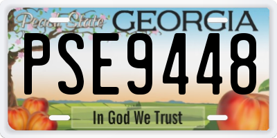 GA license plate PSE9448