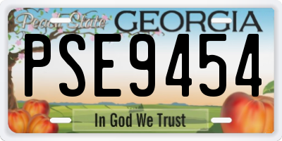 GA license plate PSE9454