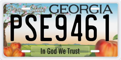 GA license plate PSE9461