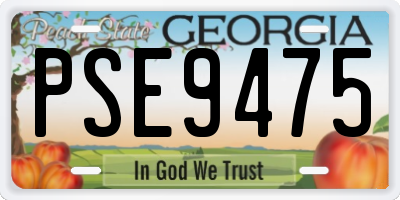 GA license plate PSE9475