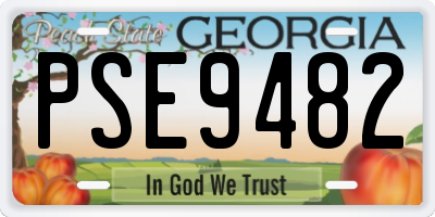GA license plate PSE9482