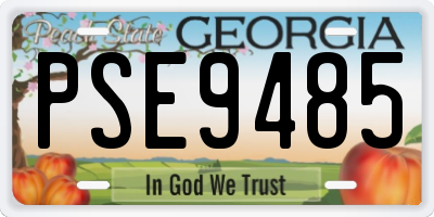 GA license plate PSE9485