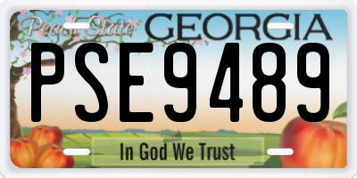 GA license plate PSE9489