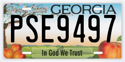 GA license plate PSE9497