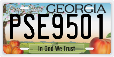 GA license plate PSE9501