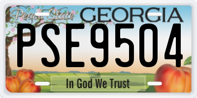 GA license plate PSE9504