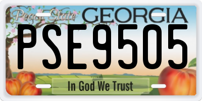 GA license plate PSE9505