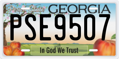GA license plate PSE9507