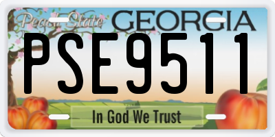 GA license plate PSE9511