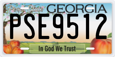 GA license plate PSE9512