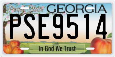 GA license plate PSE9514