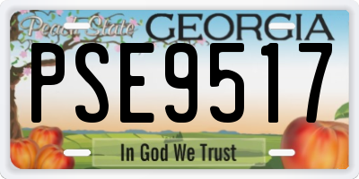 GA license plate PSE9517