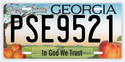 GA license plate PSE9521
