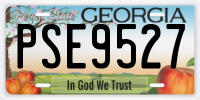 GA license plate PSE9527