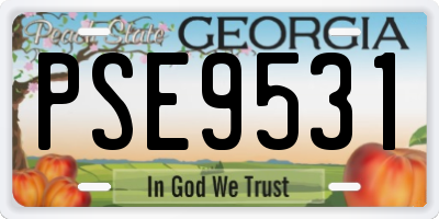 GA license plate PSE9531