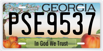 GA license plate PSE9537
