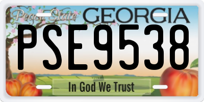 GA license plate PSE9538