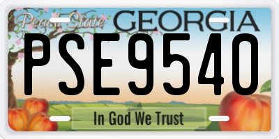 GA license plate PSE9540