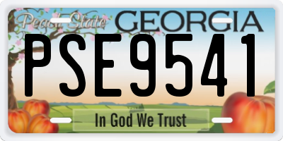 GA license plate PSE9541