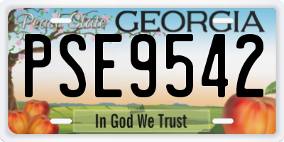 GA license plate PSE9542