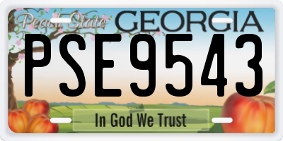GA license plate PSE9543