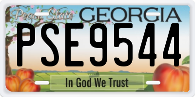 GA license plate PSE9544