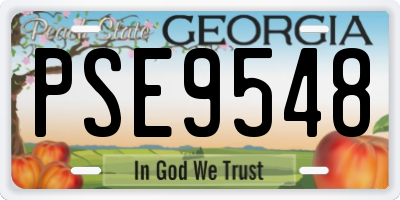 GA license plate PSE9548