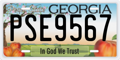 GA license plate PSE9567