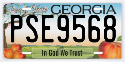 GA license plate PSE9568