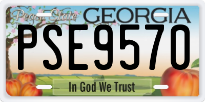 GA license plate PSE9570