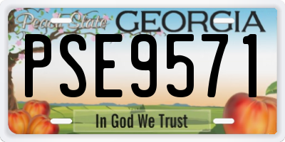 GA license plate PSE9571