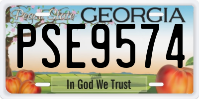 GA license plate PSE9574