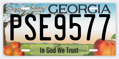 GA license plate PSE9577