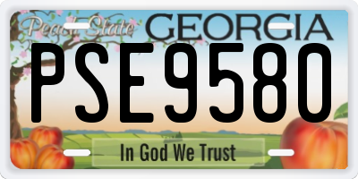 GA license plate PSE9580