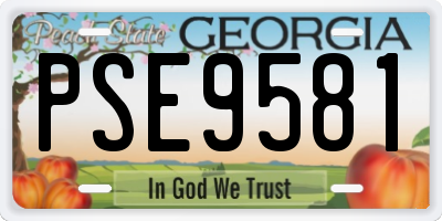 GA license plate PSE9581