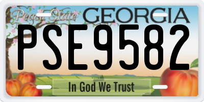 GA license plate PSE9582