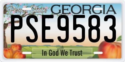 GA license plate PSE9583