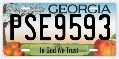 GA license plate PSE9593