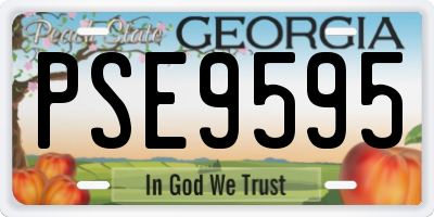 GA license plate PSE9595