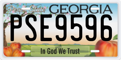 GA license plate PSE9596