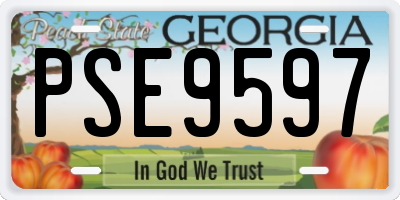 GA license plate PSE9597
