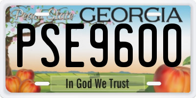 GA license plate PSE9600