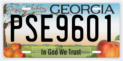 GA license plate PSE9601